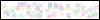 Auth Image